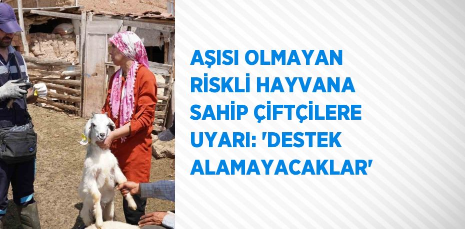 AŞISI OLMAYAN RİSKLİ HAYVANA SAHİP ÇİFTÇİLERE UYARI: 'DESTEK ALAMAYACAKLAR'