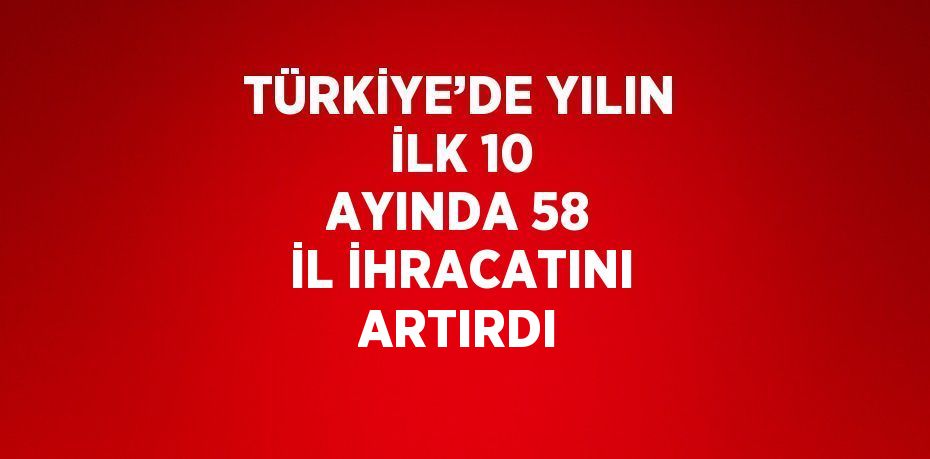 TÜRKİYE’DE YILIN İLK 10 AYINDA 58 İL İHRACATINI ARTIRDI