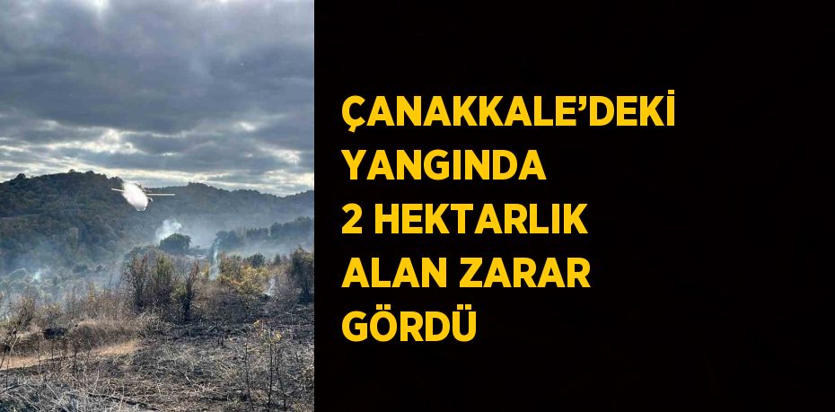 ÇANAKKALE’DEKİ YANGINDA 2 HEKTARLIK ALAN ZARAR GÖRDÜ