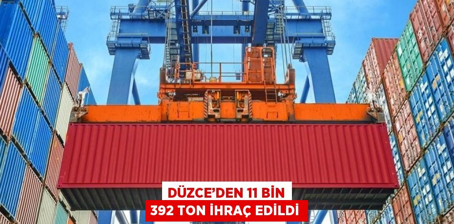 DÜZCE’DEN 11 BİN 392 TON İHRAÇ EDİLDİ