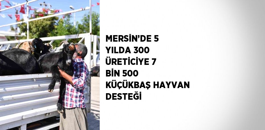 MERSİN’DE 5 YILDA 300 ÜRETİCİYE 7 BİN 500 KÜÇÜKBAŞ HAYVAN DESTEĞİ