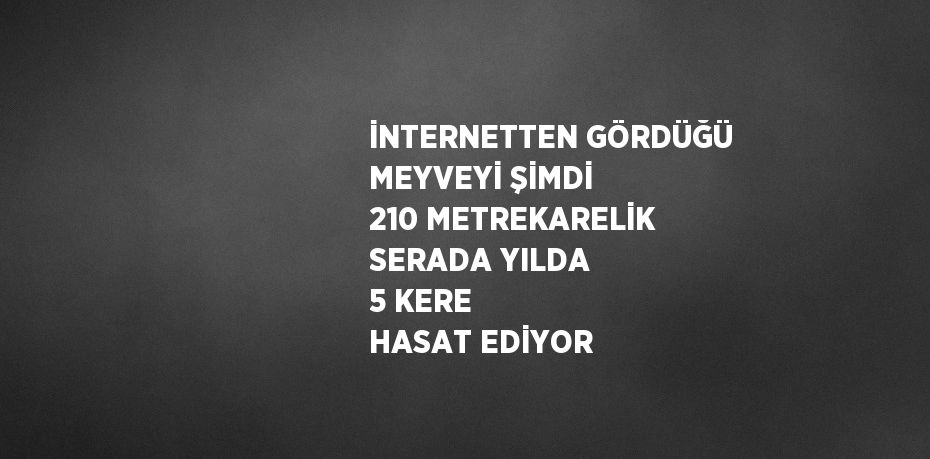 İNTERNETTEN GÖRDÜĞÜ MEYVEYİ ŞİMDİ 210 METREKARELİK SERADA YILDA 5 KERE HASAT EDİYOR