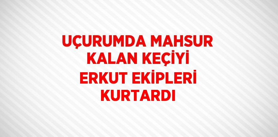 UÇURUMDA MAHSUR KALAN KEÇİYİ ERKUT EKİPLERİ KURTARDI