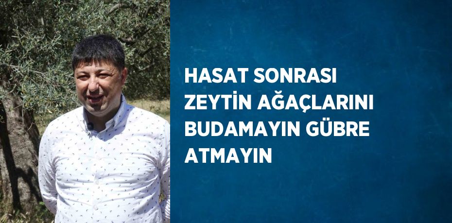 HASAT SONRASI ZEYTİN AĞAÇLARINI BUDAMAYIN GÜBRE ATMAYIN