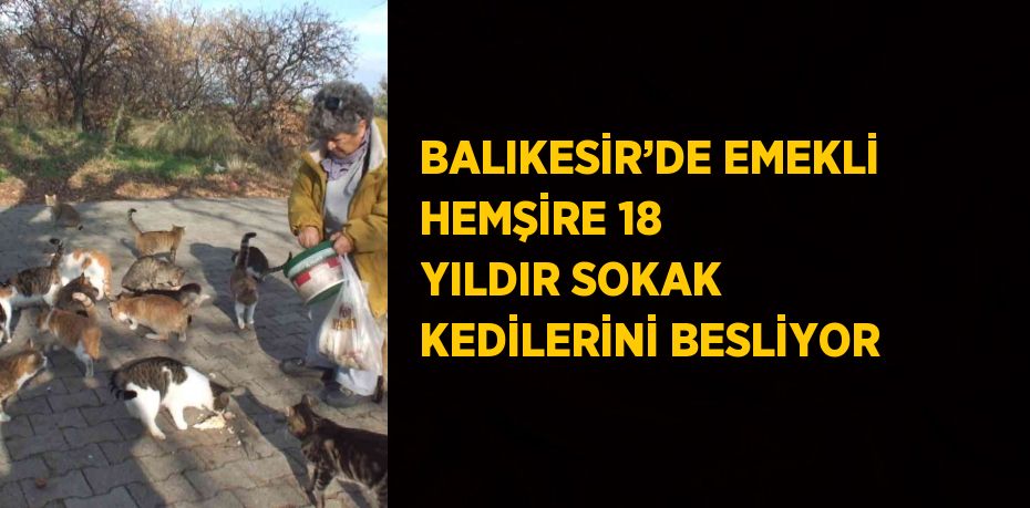 BALIKESİR’DE EMEKLİ HEMŞİRE 18 YILDIR SOKAK KEDİLERİNİ BESLİYOR