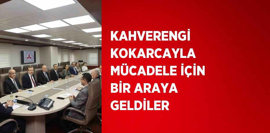 KAHVERENGİ KOKARCAYLA MÜCADELE İÇİN BİR ARAYA GELDİLER