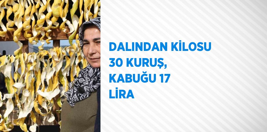 DALINDAN KİLOSU 30 KURUŞ, KABUĞU 17 LİRA