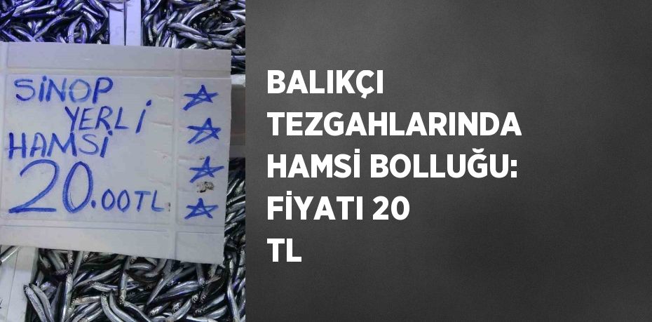 BALIKÇI TEZGAHLARINDA HAMSİ BOLLUĞU: FİYATI 20 TL