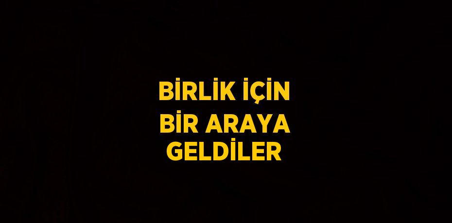 BİRLİK İÇİN BİR ARAYA GELDİLER