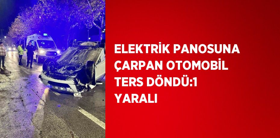 ELEKTRİK PANOSUNA ÇARPAN OTOMOBİL TERS DÖNDÜ:1 YARALI