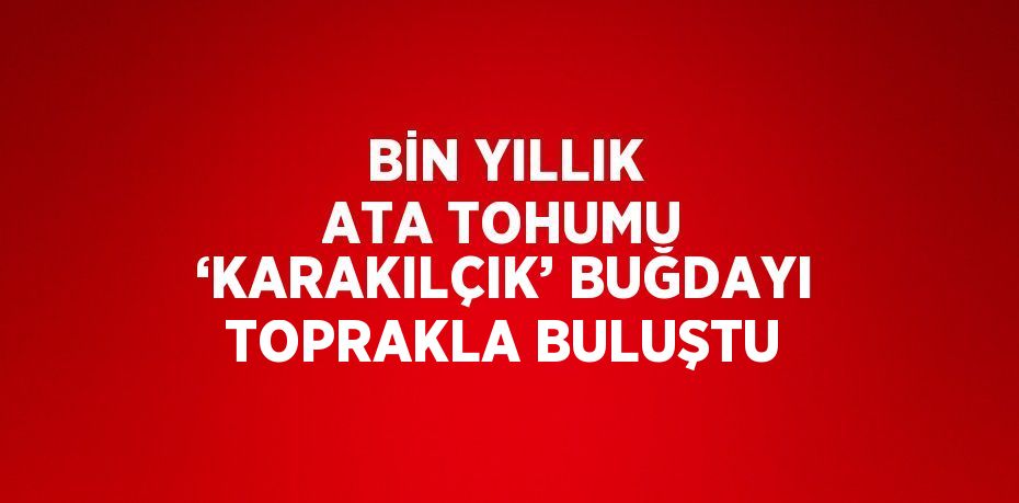 BİN YILLIK ATA TOHUMU ‘KARAKILÇIK’ BUĞDAYI TOPRAKLA BULUŞTU