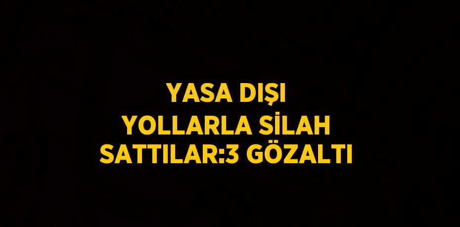 YASA DIŞI YOLLARLA SİLAH SATTILAR:3 GÖZALTI