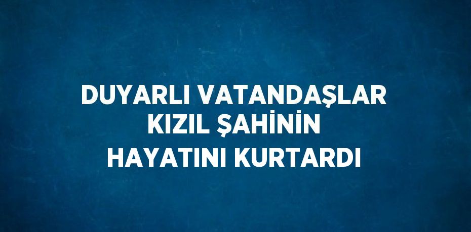 DUYARLI VATANDAŞLAR KIZIL ŞAHİNİN HAYATINI KURTARDI