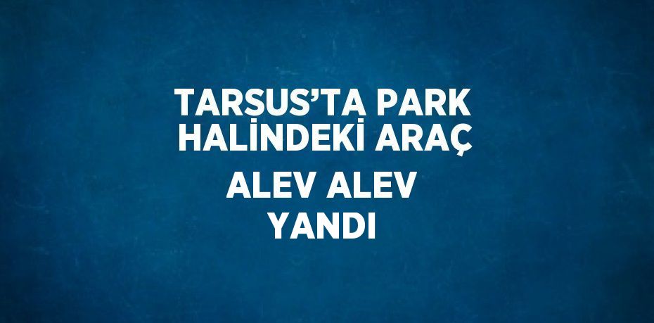 TARSUS’TA PARK HALİNDEKİ ARAÇ ALEV ALEV YANDI