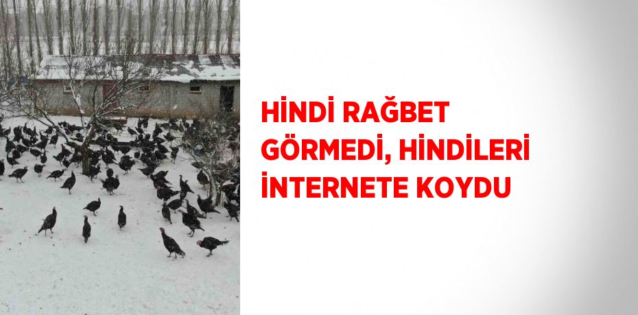 HİNDİ RAĞBET GÖRMEDİ, HİNDİLERİ İNTERNETE KOYDU