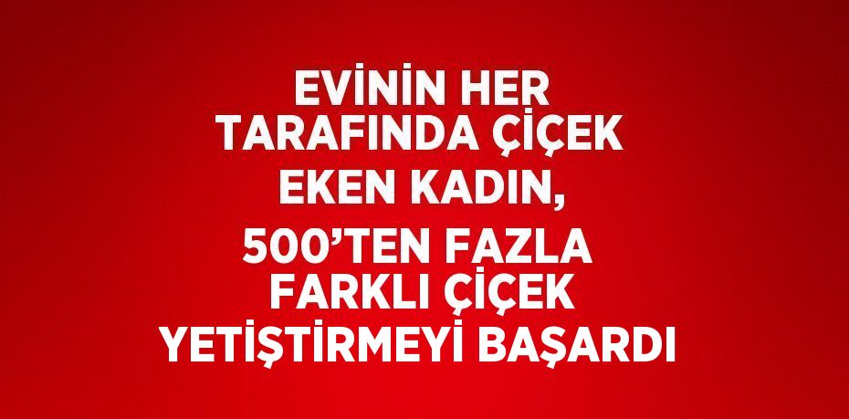 EVİNİN HER TARAFINDA ÇİÇEK EKEN KADIN, 500’TEN FAZLA FARKLI ÇİÇEK YETİŞTİRMEYİ BAŞARDI