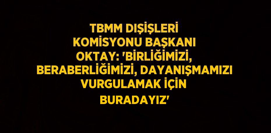 TBMM DIŞİŞLERİ KOMİSYONU BAŞKANI OKTAY: 'BİRLİĞİMİZİ, BERABERLİĞİMİZİ, DAYANIŞMAMIZI VURGULAMAK İÇİN BURADAYIZ'