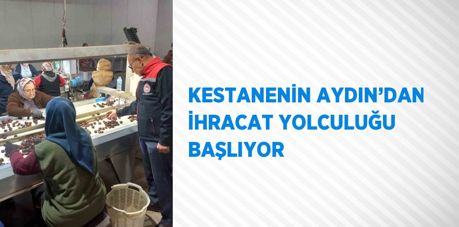 KESTANENİN AYDIN’DAN İHRACAT YOLCULUĞU BAŞLIYOR