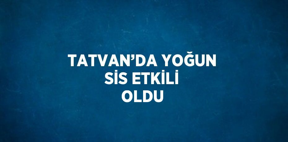 TATVAN’DA YOĞUN SİS ETKİLİ OLDU