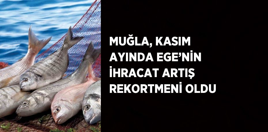 MUĞLA, KASIM AYINDA EGE’NİN İHRACAT ARTIŞ REKORTMENİ OLDU