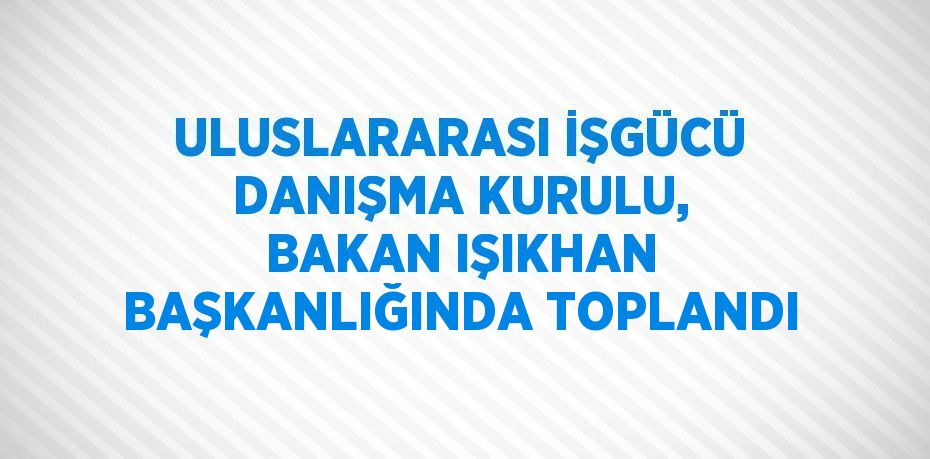 ULUSLARARASI İŞGÜCÜ DANIŞMA KURULU, BAKAN IŞIKHAN BAŞKANLIĞINDA TOPLANDI