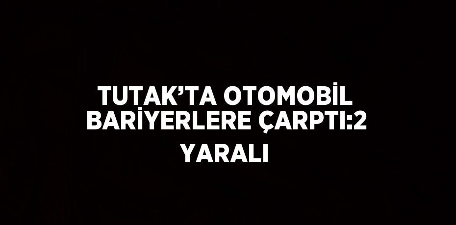 TUTAK’TA OTOMOBİL BARİYERLERE ÇARPTI:2 YARALI