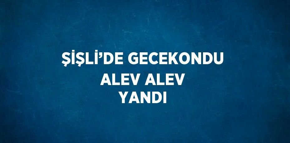 ŞİŞLİ’DE GECEKONDU ALEV ALEV YANDI