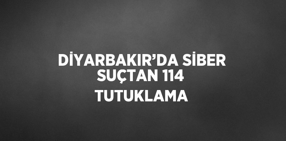 DİYARBAKIR’DA SİBER SUÇTAN 114 TUTUKLAMA