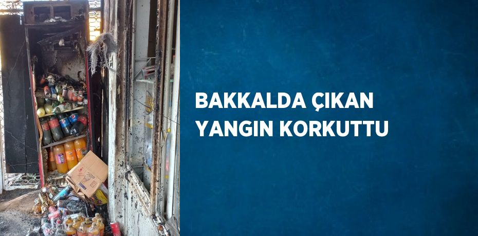 BAKKALDA ÇIKAN YANGIN KORKUTTU