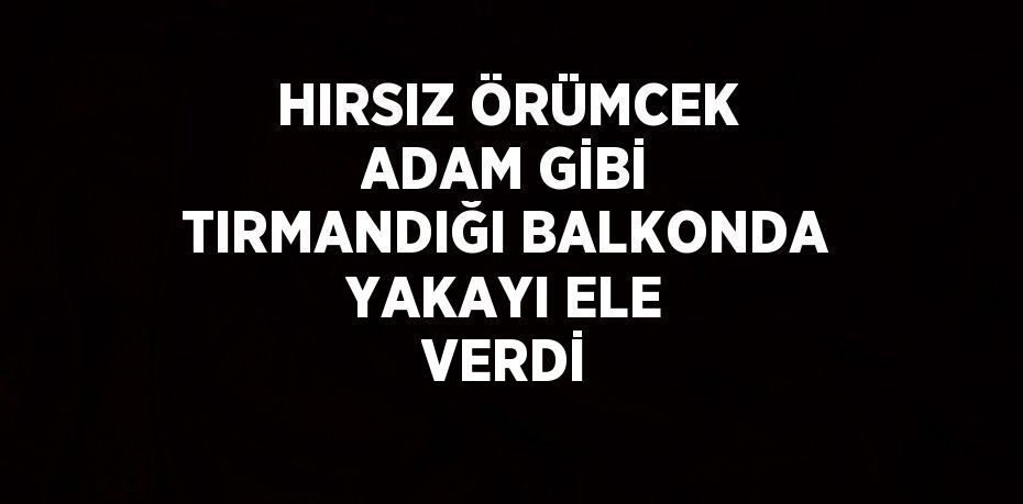 HIRSIZ ÖRÜMCEK ADAM GİBİ TIRMANDIĞI BALKONDA YAKAYI ELE VERDİ