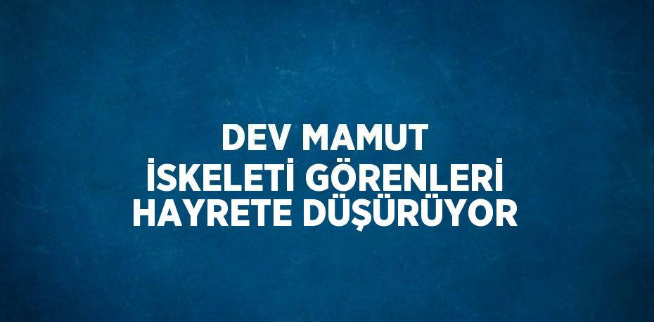 DEV MAMUT İSKELETİ GÖRENLERİ HAYRETE DÜŞÜRÜYOR