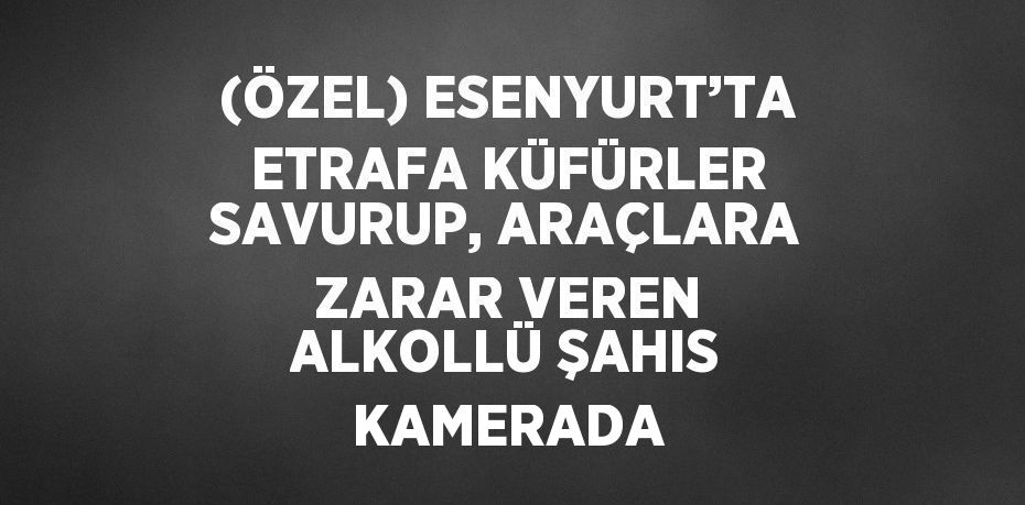 (ÖZEL) ESENYURT’TA ETRAFA KÜFÜRLER SAVURUP, ARAÇLARA ZARAR VEREN ALKOLLÜ ŞAHIS KAMERADA