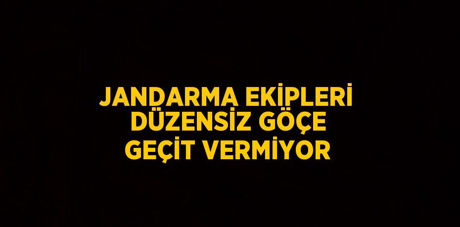 JANDARMA EKİPLERİ DÜZENSİZ GÖÇE GEÇİT VERMİYOR