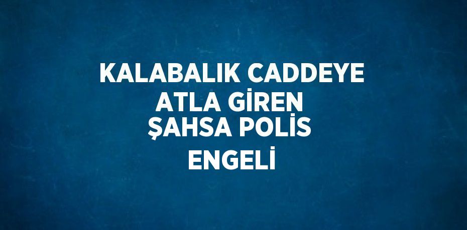 KALABALIK CADDEYE ATLA GİREN ŞAHSA POLİS ENGELİ