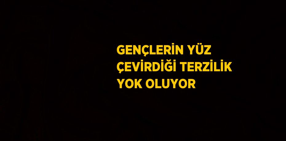 GENÇLERİN YÜZ ÇEVİRDİĞİ TERZİLİK YOK OLUYOR