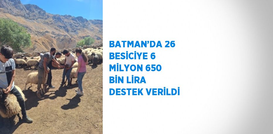 BATMAN’DA 26 BESİCİYE 6 MİLYON 650 BİN LİRA DESTEK VERİLDİ