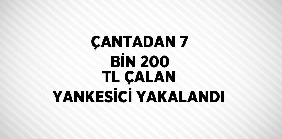ÇANTADAN 7 BİN 200 TL ÇALAN YANKESİCİ YAKALANDI