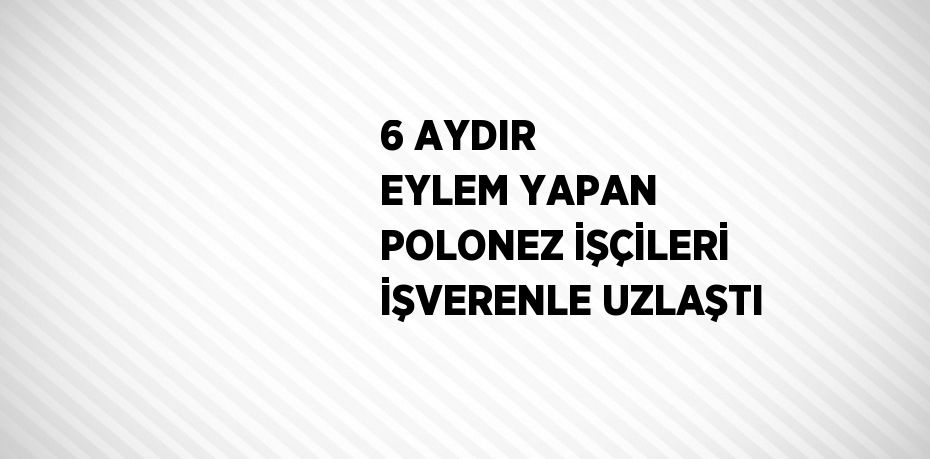 6 AYDIR EYLEM YAPAN POLONEZ İŞÇİLERİ İŞVERENLE UZLAŞTI