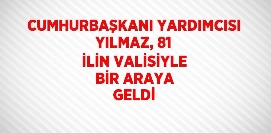 CUMHURBAŞKANI YARDIMCISI YILMAZ, 81 İLİN VALİSİYLE BİR ARAYA GELDİ