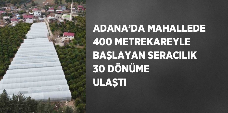 ADANA’DA MAHALLEDE 400 METREKAREYLE BAŞLAYAN SERACILIK 30 DÖNÜME ULAŞTI