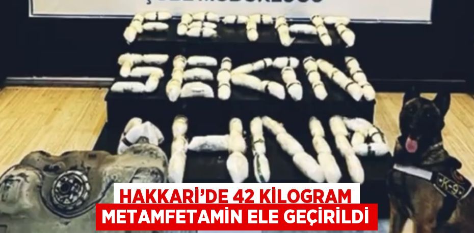 HAKKARİ’DE 42 KİLOGRAM METAMFETAMİN ELE GEÇİRİLDİ