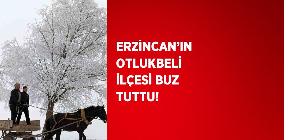 ERZİNCAN’IN OTLUKBELİ İLÇESİ BUZ TUTTU!