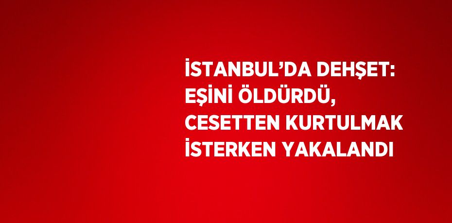 İSTANBUL’DA DEHŞET: EŞİNİ ÖLDÜRDÜ, CESETTEN KURTULMAK İSTERKEN YAKALANDI