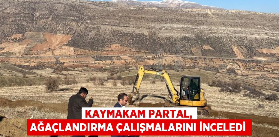 KAYMAKAM PARTAL, AĞAÇLANDIRMA ÇALIŞMALARINI İNCELEDİ