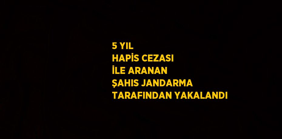 5 YIL HAPİS CEZASI İLE ARANAN ŞAHIS JANDARMA TARAFINDAN YAKALANDI