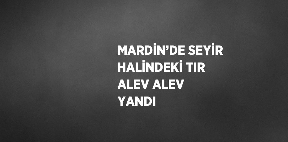 MARDİN’DE SEYİR HALİNDEKİ TIR ALEV ALEV YANDI