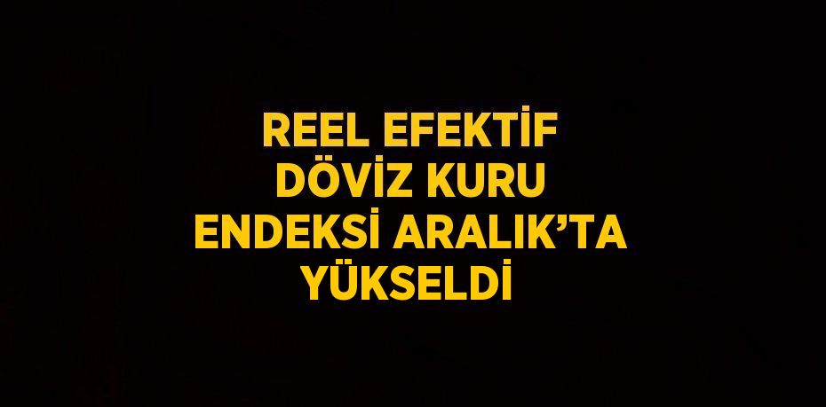 REEL EFEKTİF DÖVİZ KURU ENDEKSİ ARALIK’TA YÜKSELDİ