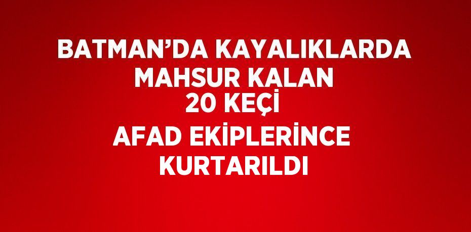 BATMAN’DA KAYALIKLARDA MAHSUR KALAN 20 KEÇİ AFAD EKİPLERİNCE KURTARILDI