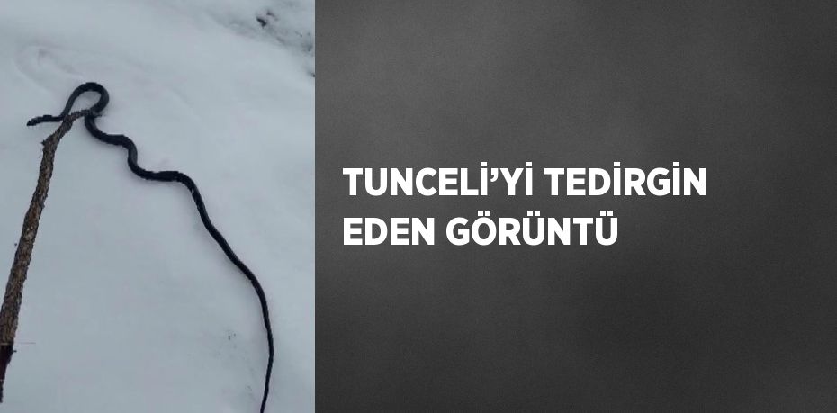 TUNCELİ’Yİ TEDİRGİN EDEN GÖRÜNTÜ