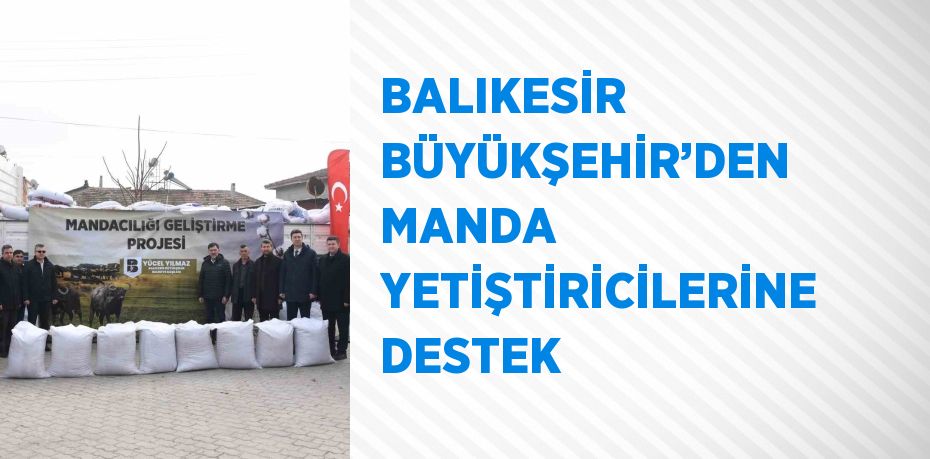 BALIKESİR BÜYÜKŞEHİR’DEN MANDA YETİŞTİRİCİLERİNE DESTEK